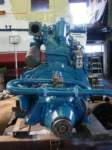 dsc02974_small.jpg